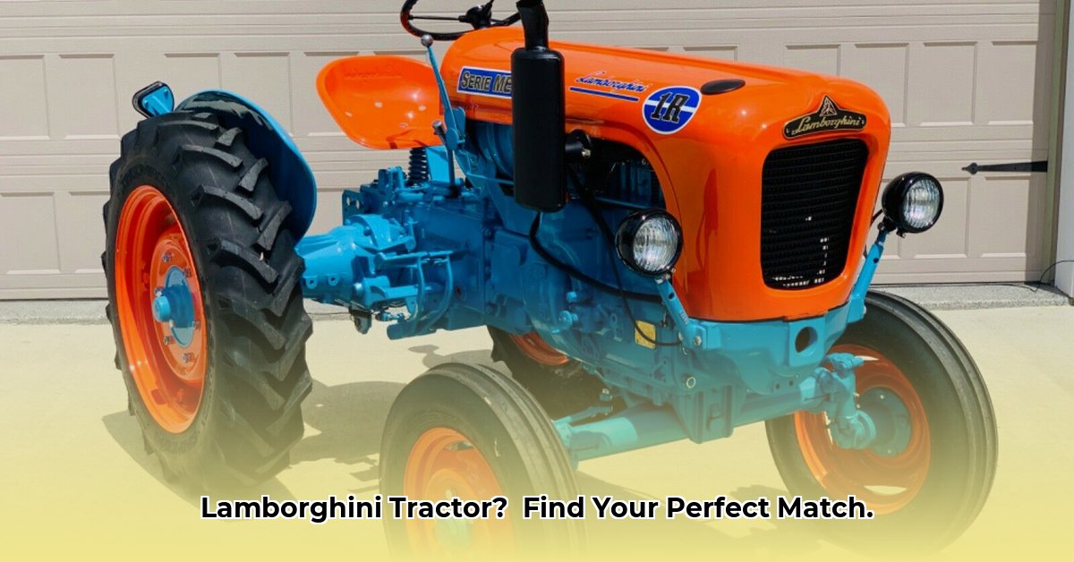 lambo-tractors
